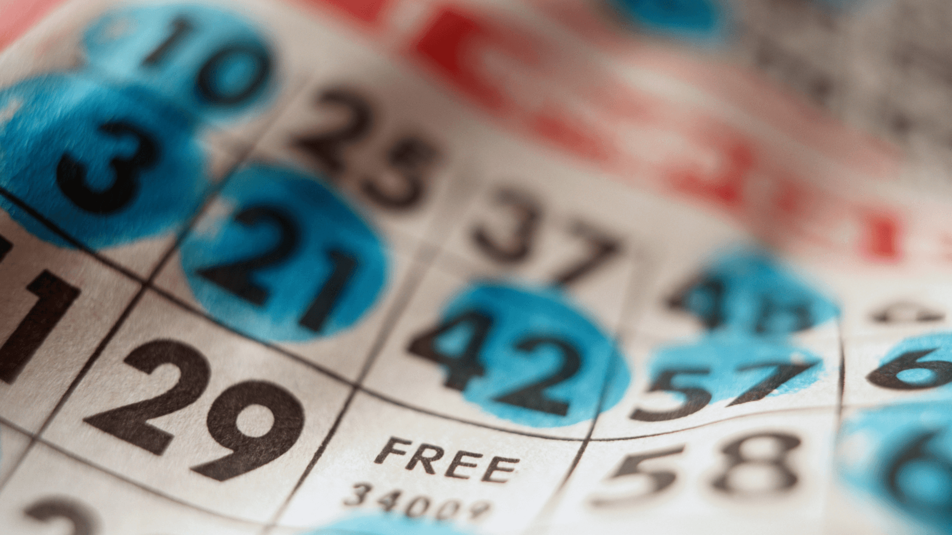 Mọi thứ về thẻ Bingo trực tuyến và cuộc gọi image